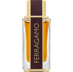 Духи мужские Ferragamo Spicy Leather, 100 мл