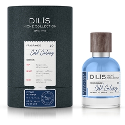 Духи группы «Экстра» для мужчин серии «DILIS Niche Collection» «Cold Galaxy», 50 мл