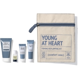 Набор миниатюр Young At Heart