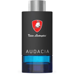 Туалетная вода Tecno Audacia, 100 мл