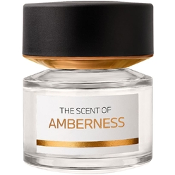 Парфюмерная вода AMBERNESS