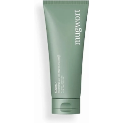 Успокаивающая, очищающая пенка для сияния кожи лица Mugwort Soothing Ac Cleansing Foam, 140 мл