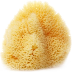 Натуральная морская губка Honeycomb Sea Sponge Lux (для лица Lux)