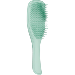 Расческа Tangle Teezer The Ultimate (Wet) Detangler Fine & Fragile Dark Teal