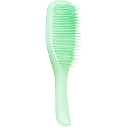 Расческа The Wet Detangler Mint Karma