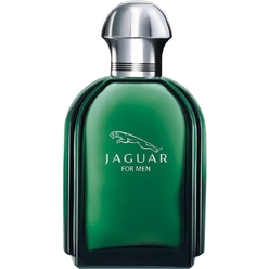 Туалетная вода Jaguar For Men, 100 мл