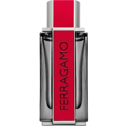 Парфюмерная вода мужская Ferragamo Red Leather