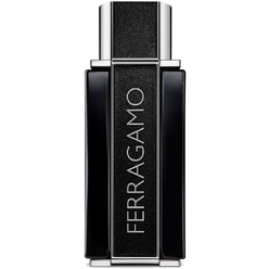 Парфюмерная вода интенсивная мужская Ferragamo Sublime Leather