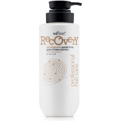 Recovery Липидный шампунь для сухих волос Professional HAIR CARE, 500 мл.