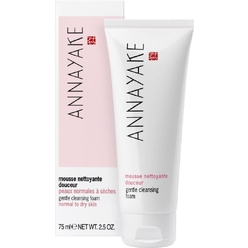 Пенка для умывания для нормальной и сухой кожи Gentle Cleansing Foam, 75 мл