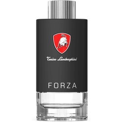 Туалетная вода Tecno Forza, 100 мл