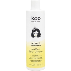 Кондиционер против пушистости ikoo infusions No Frizz, No Drama Conditioner, 100 мл