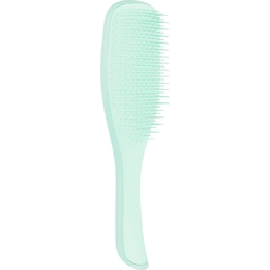 Расческа The Wet Detangler Fine & Fragile Sea Spray Green