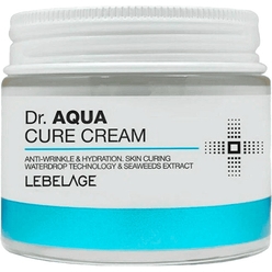 Увлажняющий крем для лица с гиалуроновой кислотой LEBELAGE Dr. AQUA CURE CREAM