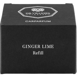 Ароматизатор воздуха для автомобиля Dr. Vranjes Firenze Ginger Lime