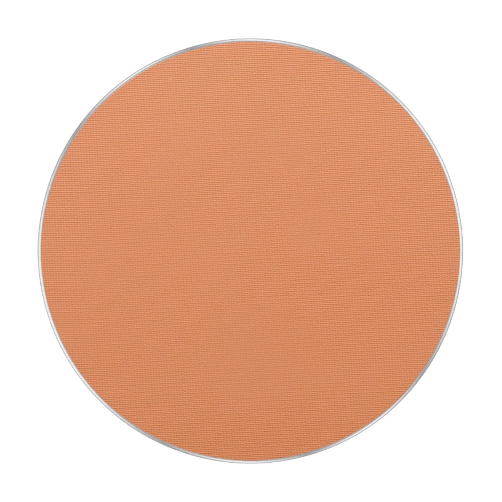 Пудра Freedom System Perfect Finish Pressed Powder