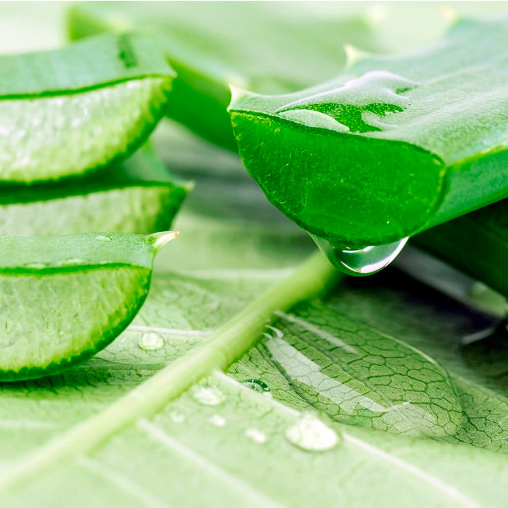 Увлажняющий, успокаивающий гель для лица Tenzero Moisture Aloe Vera Soothing Gel, 300 мл - фото 4