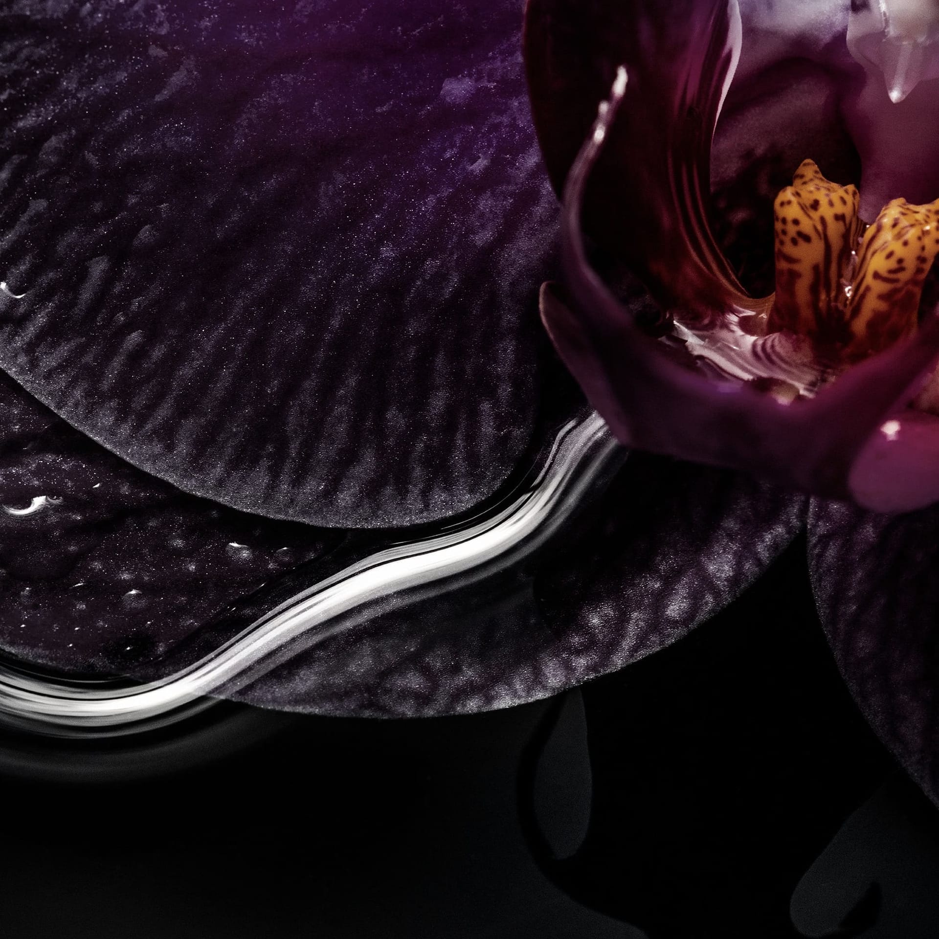 Парфюмерная вода Black Orchid - фото 2
