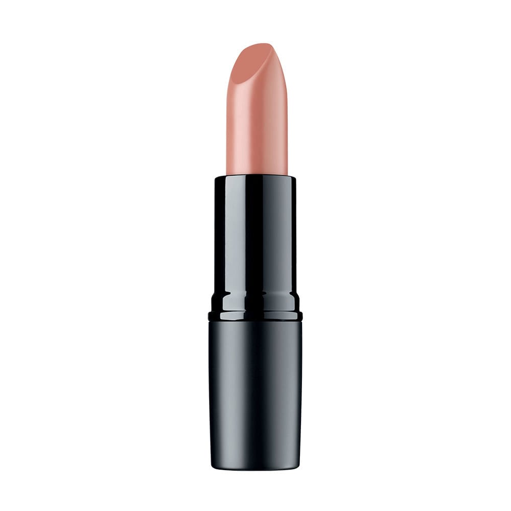 Матовая помада для губ Perfect Mat Lipstick