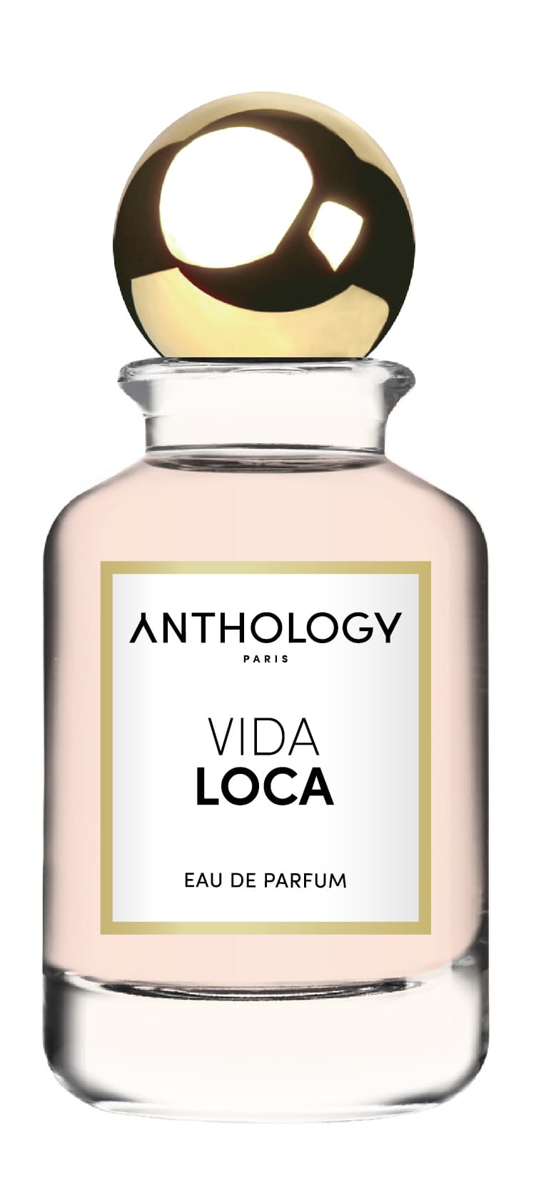 Парфюмерная вода женская Vida Loca, 100 мл