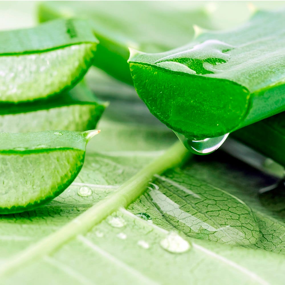 Увлажняющая, питательная, успокаивающая тканевая маска для лица Tenzero Aloe  Sheet Mask, 25 мл - фото 5