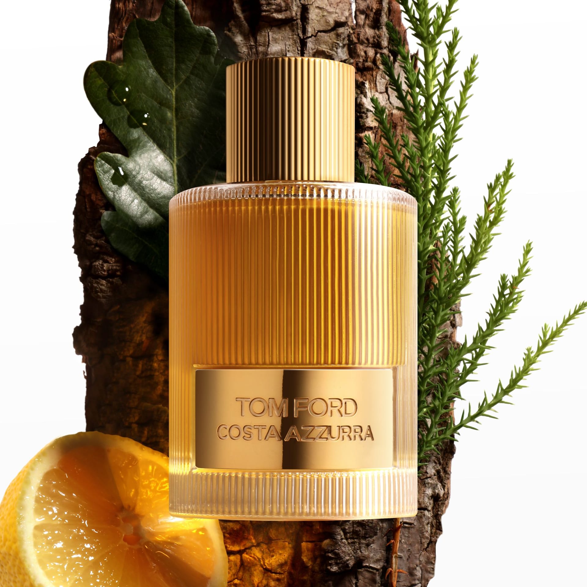 Парфюмерная вода Tom Ford Costa Azzurra - фото 2