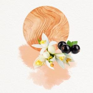 Парфюмерная вода Dojou For Her, 100 мл - фото 2