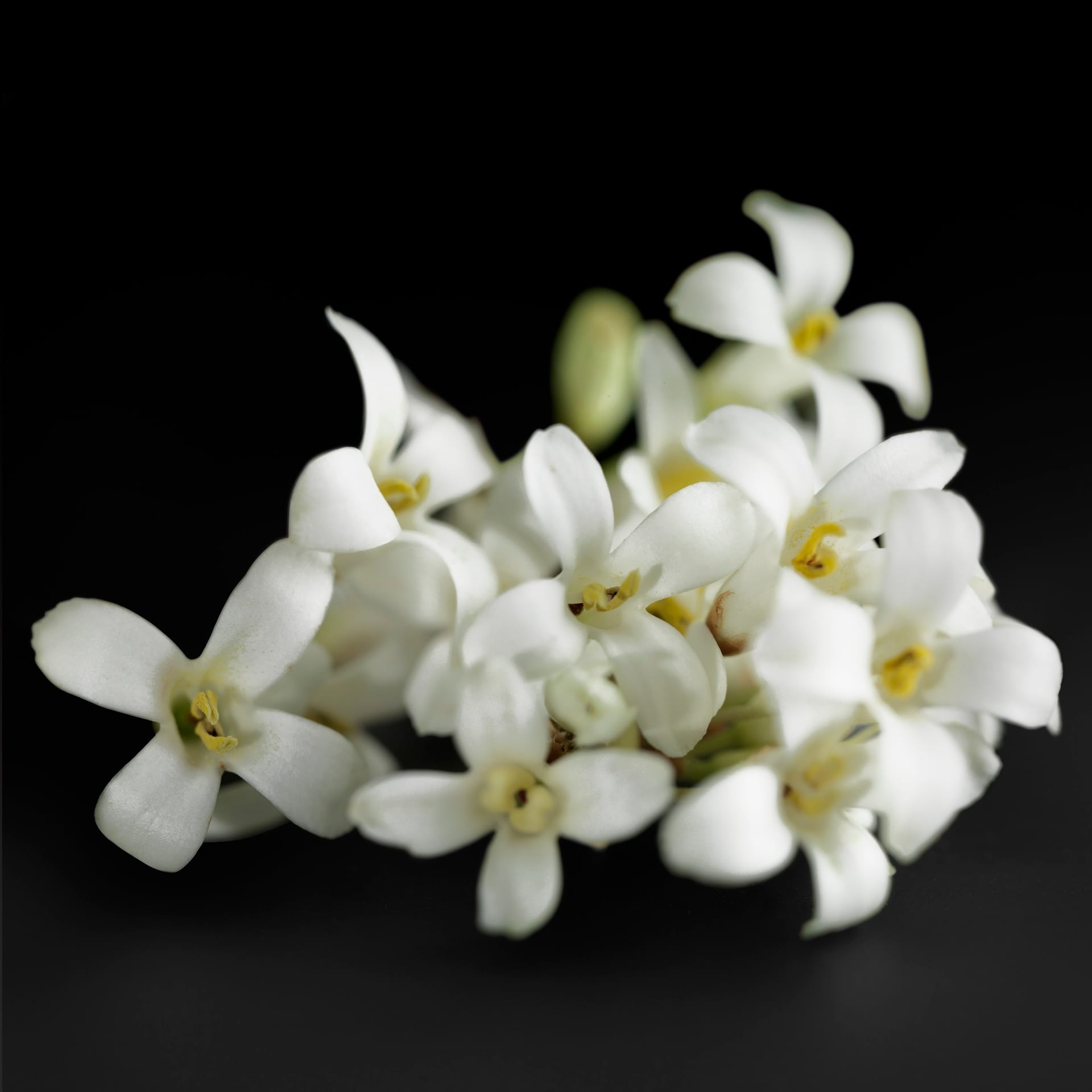 Парфюмерная вода Boss The Scent For Her - фото 5