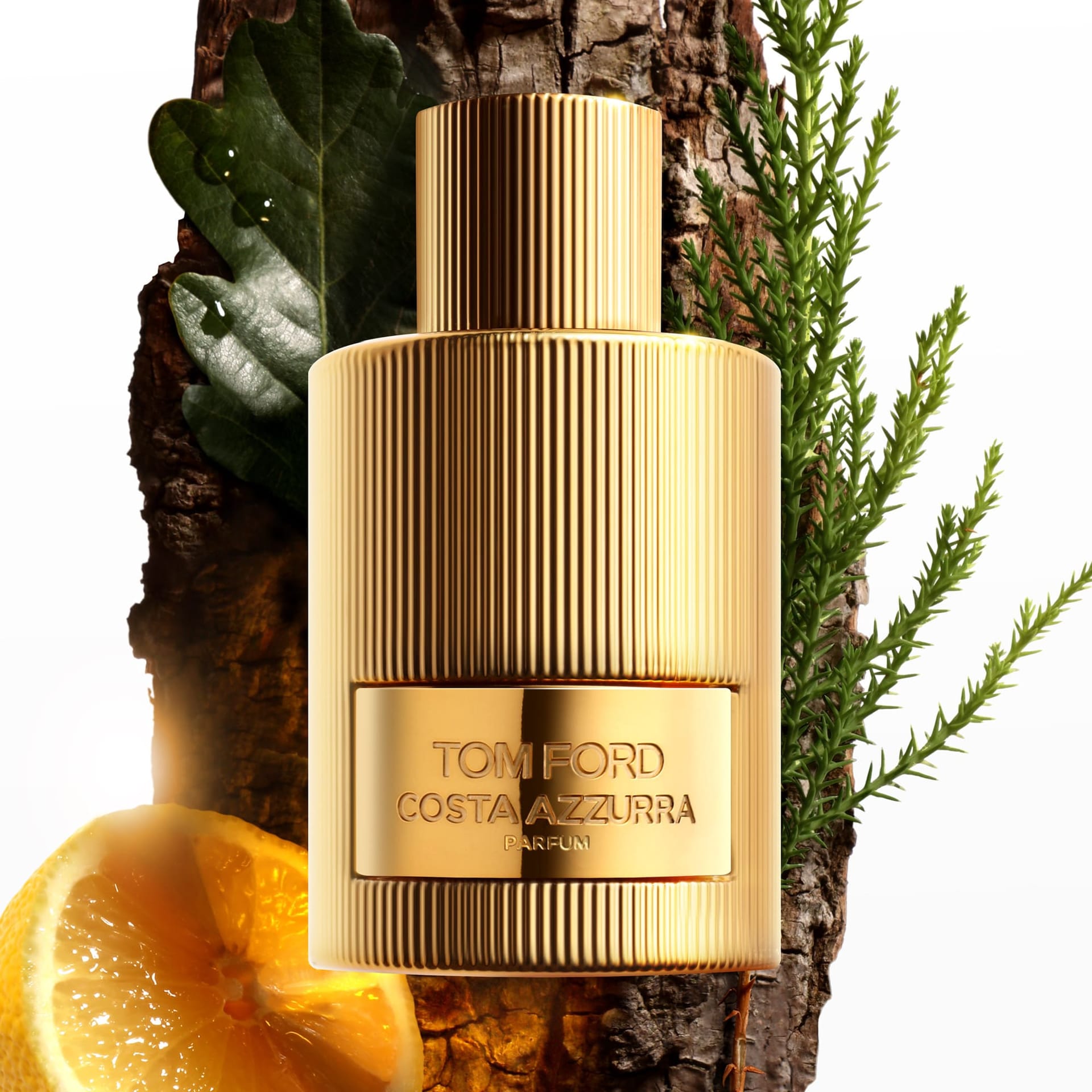 Духи Tom Ford Costa Azzurra Parfum Spray, 100 мл  - фото 4