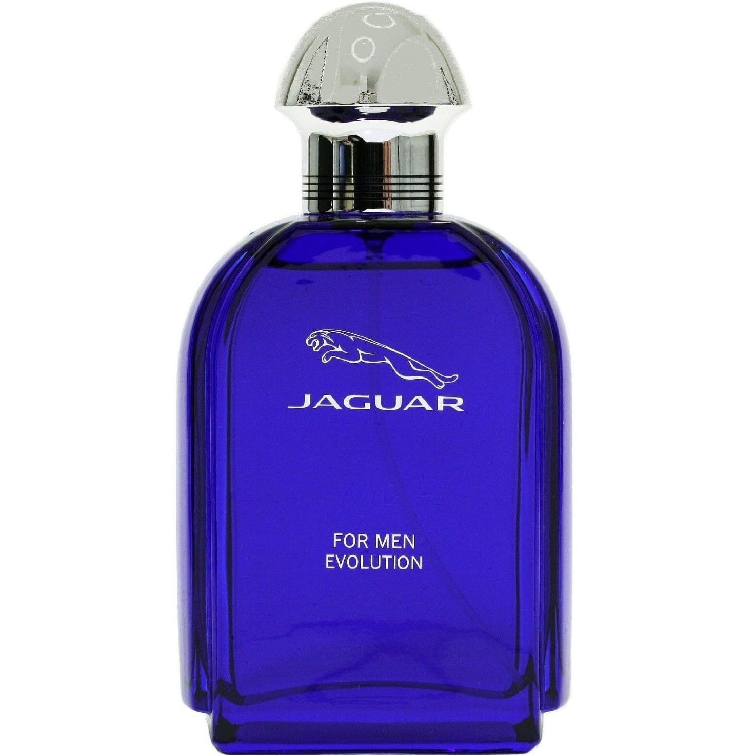 Туалетная вода Jaguar For Men Evolution 100 мл
