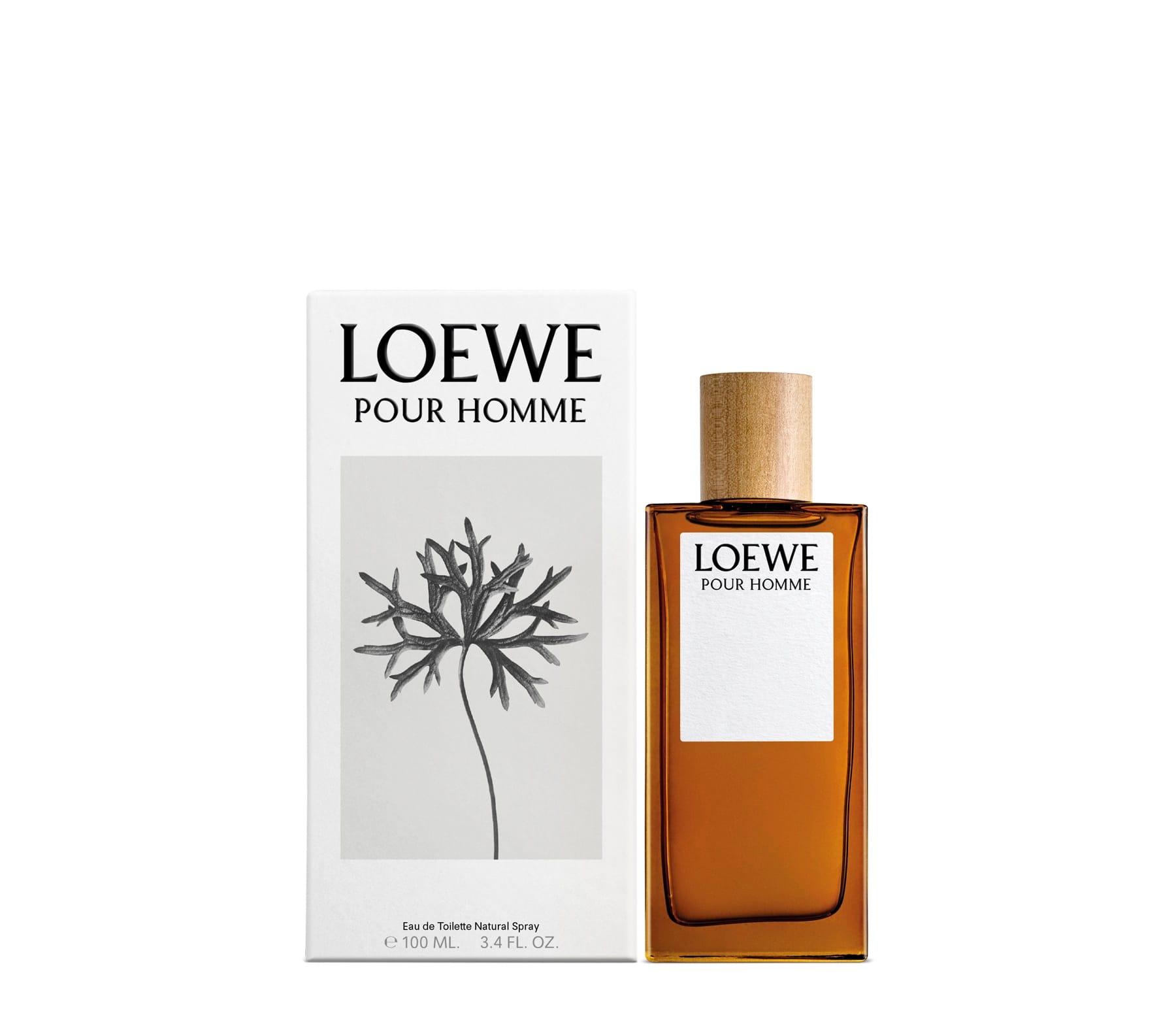 Туалетная вода LOEWE POUR HOMME, 100 мл - фото 2