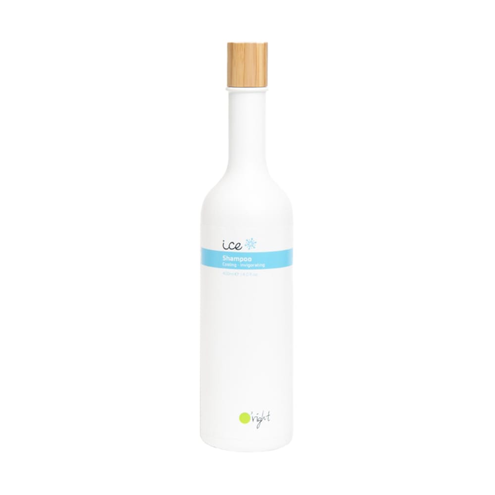 Шампунь для волос Лед Ice Shampoo 400 мл