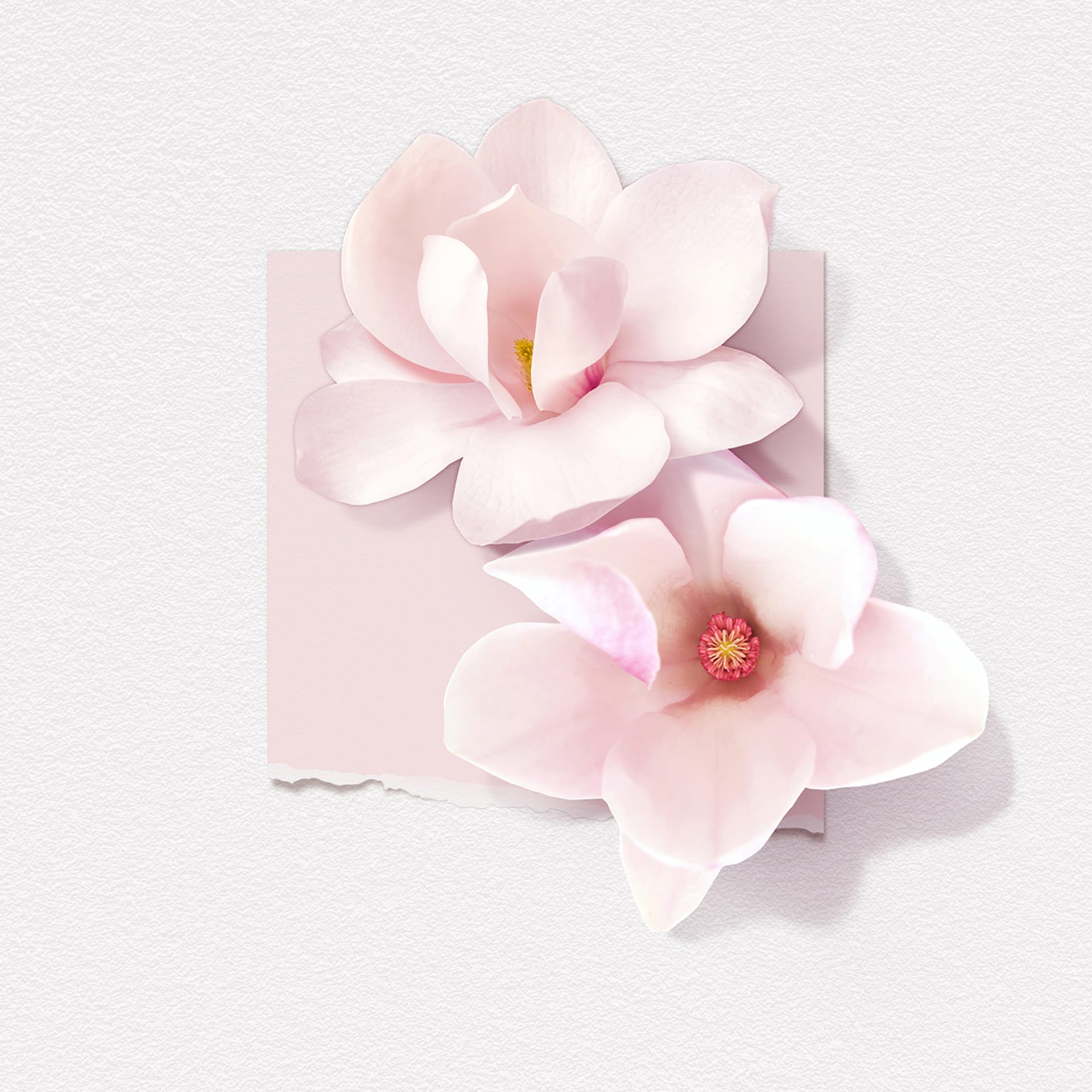 Парфюмерная вода Magnolia - фото 2