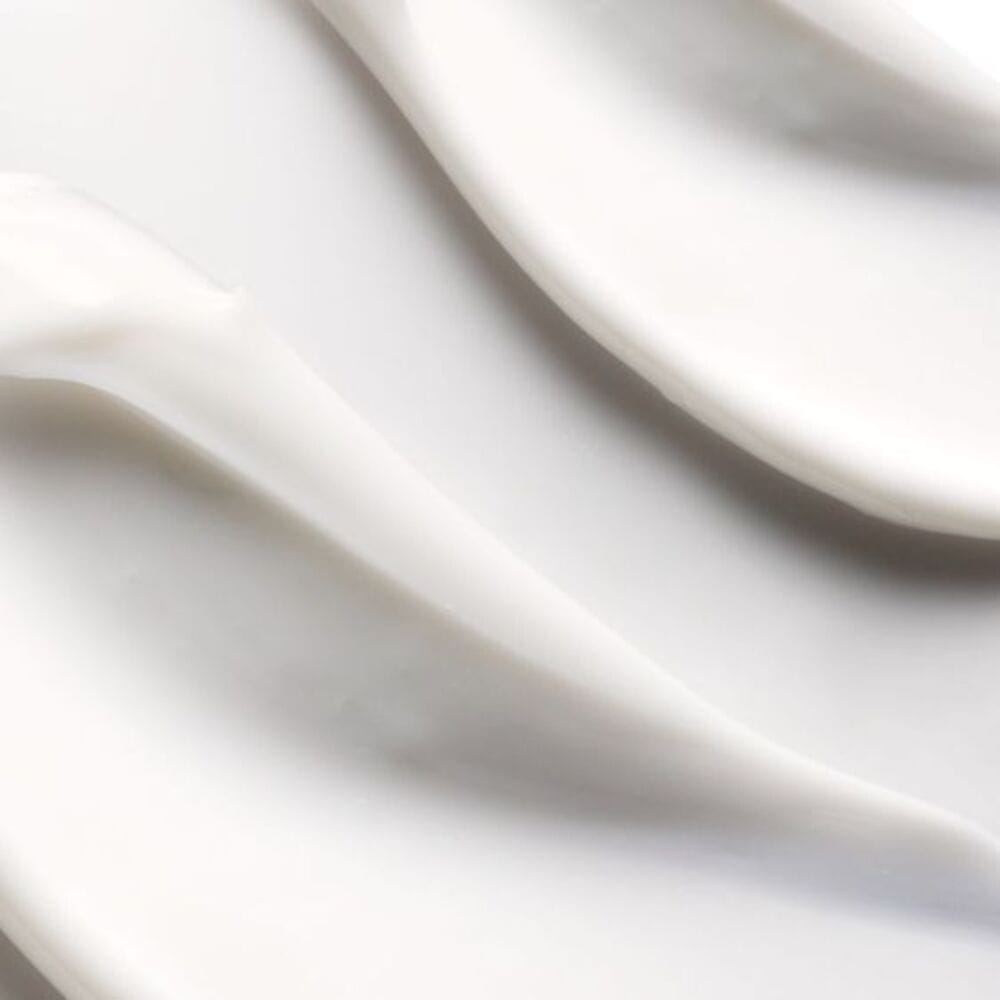 Крем для лица питательный антивозрастной Supreme Absolu Youth Rich Cream, 50 мл - фото 3