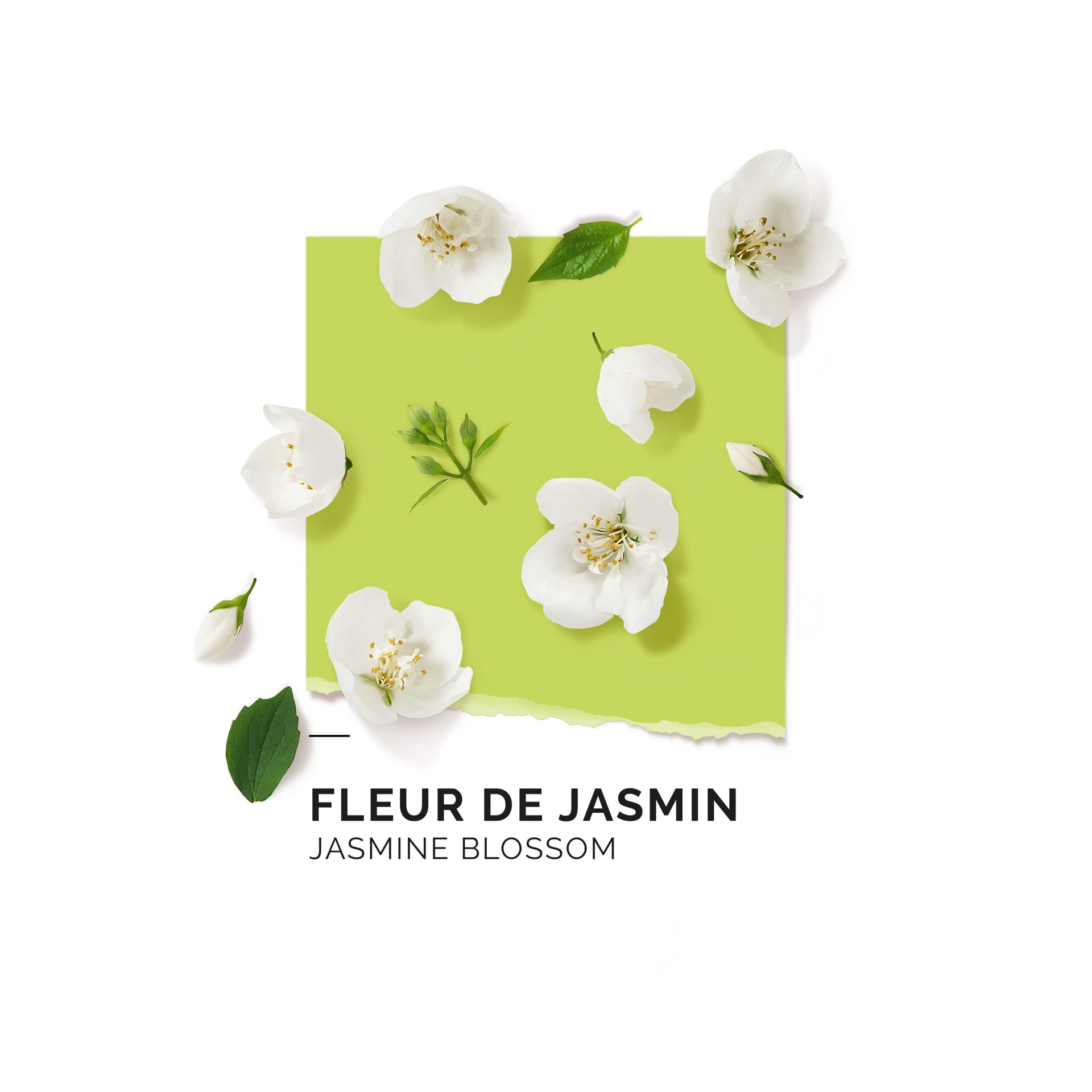 Парфюмерная вода Fleur de Jasmin - фото 2