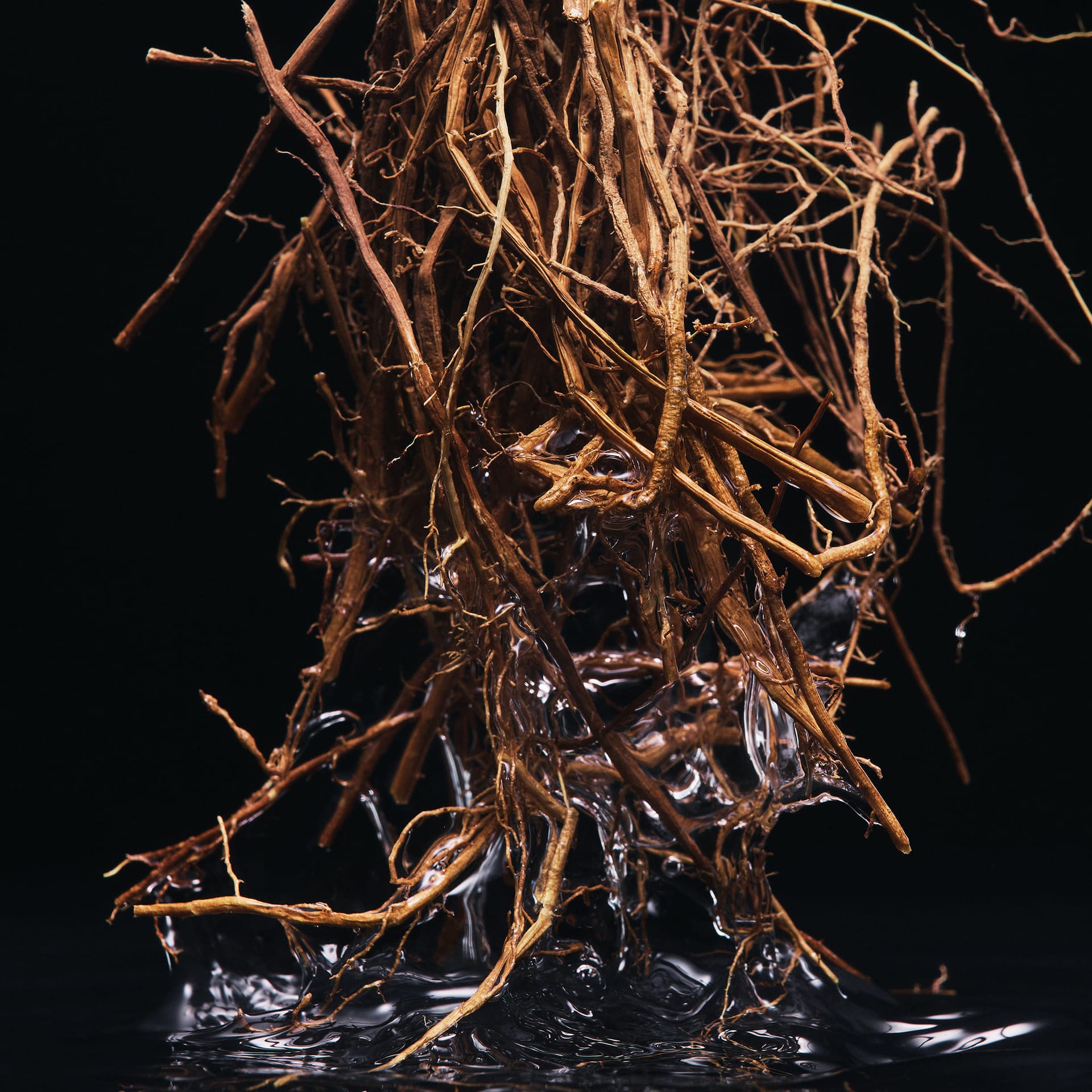 Парфюмерная вода Velvet Vetiver, 100 мл - фото 4