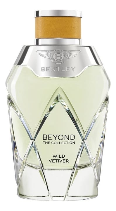 Парфюмерная вода Beyond The Collection Wild Vetiver, 100 мл