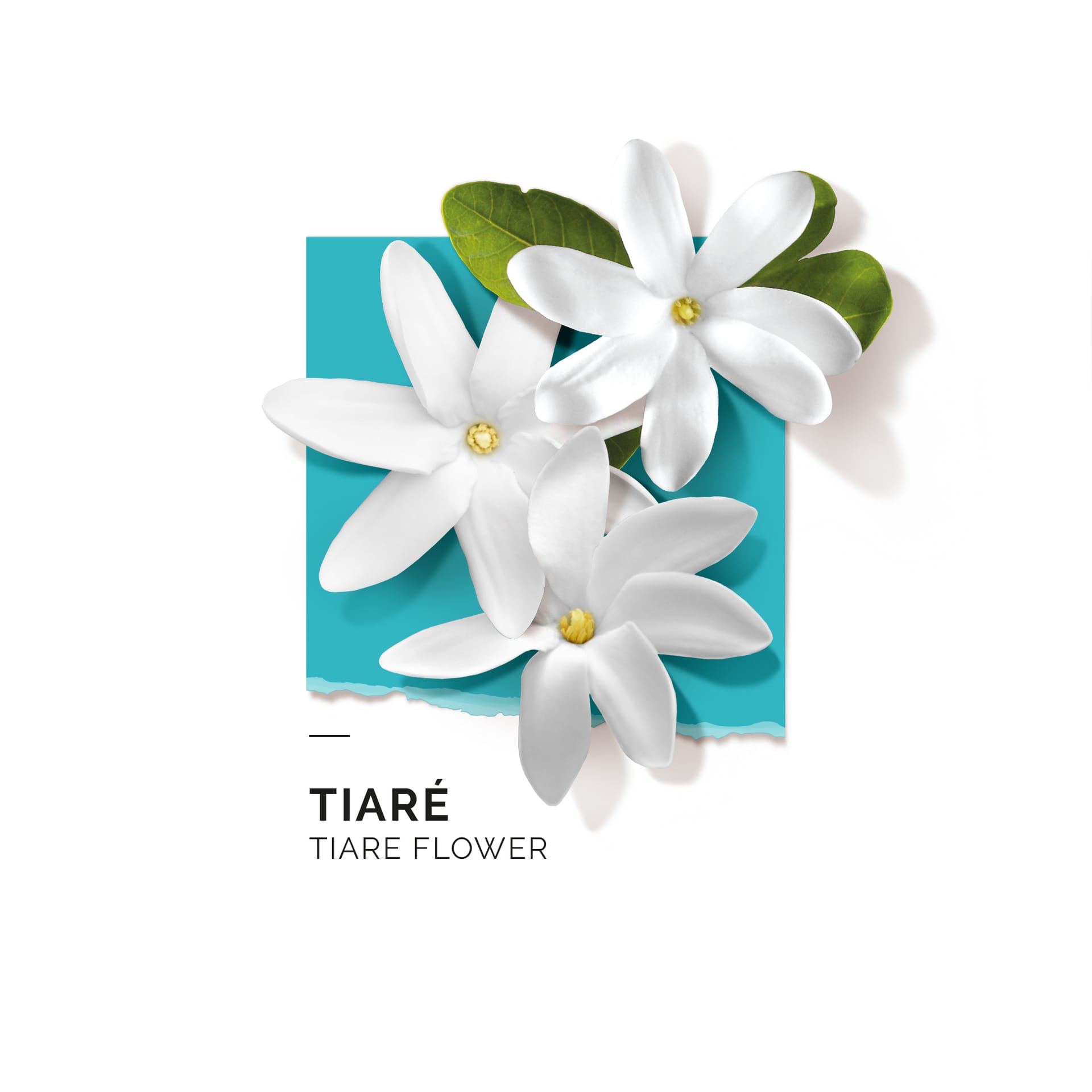 Парфюмерная вода Tiare - фото 5