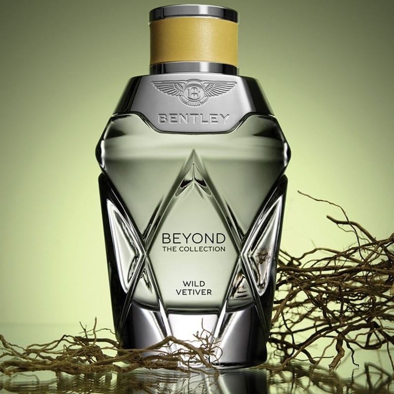 Парфюмерная вода Beyond The Collection Wild Vetiver, 100 мл - фото 3
