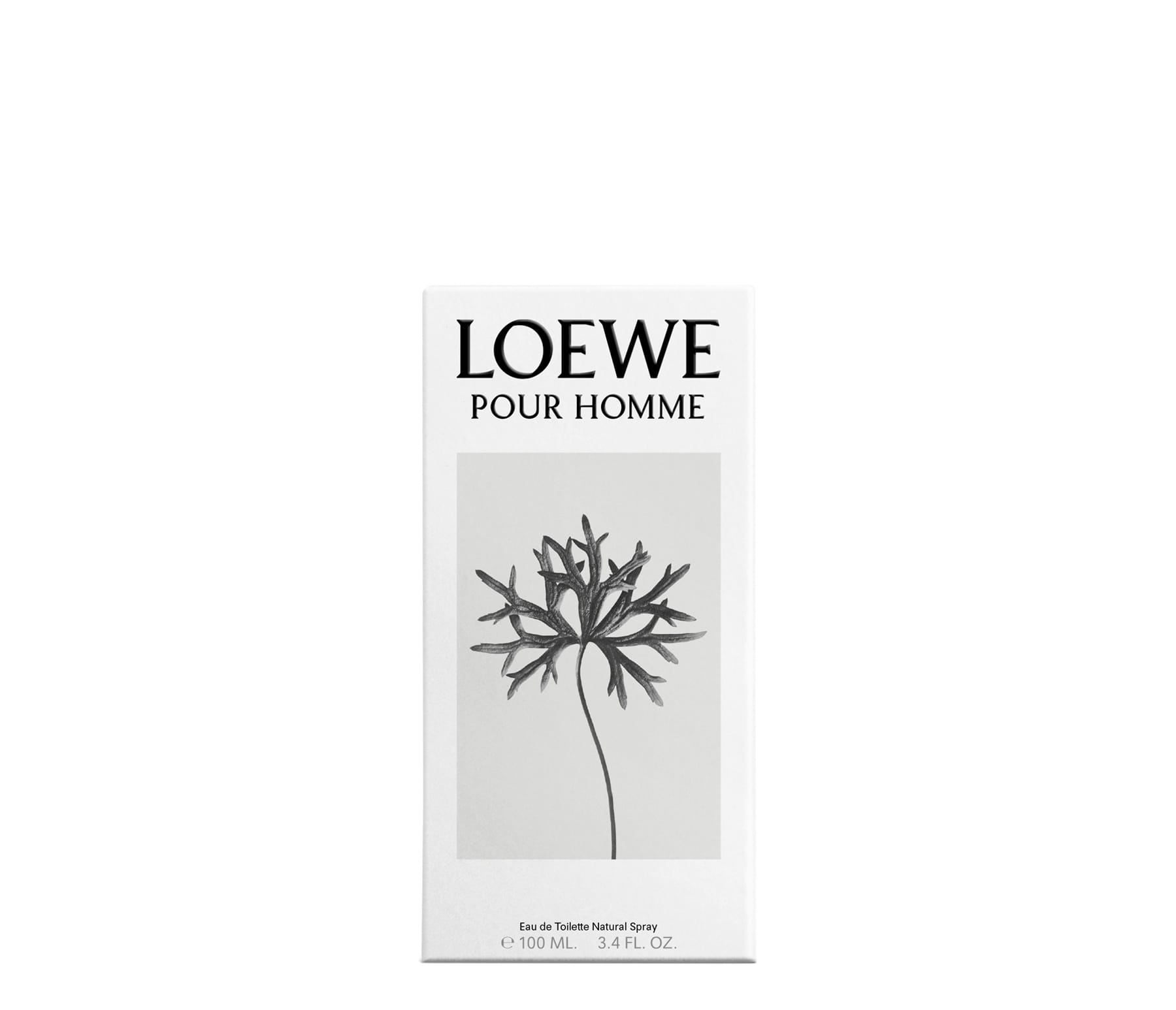 Туалетная вода LOEWE POUR HOMME, 100 мл - фото 3
