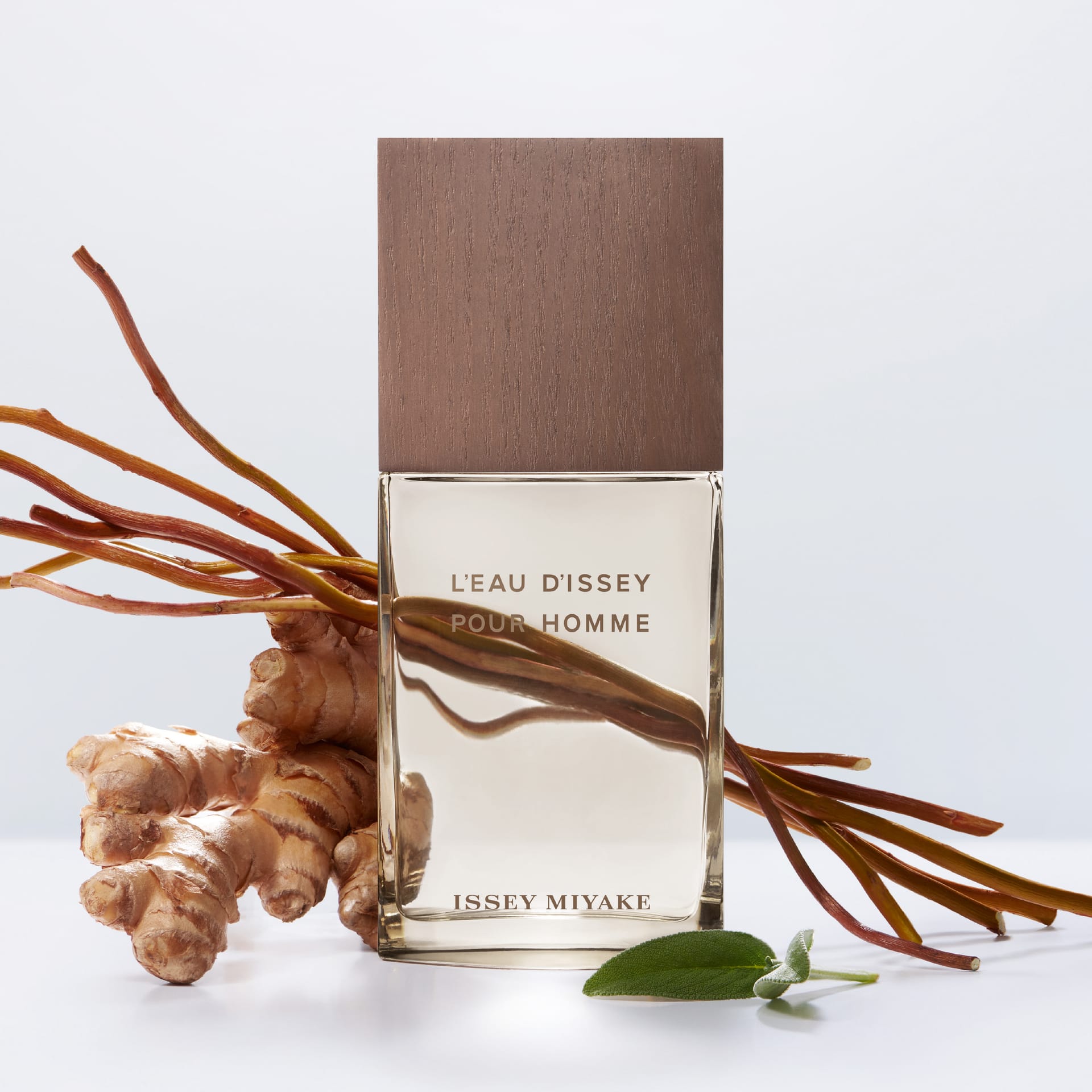 Туалетная вода L'eau D'issey Pour Homme Vetiver - фото 2