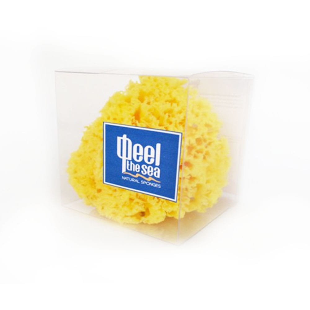 Натуральная морская губка Honeycomb Sea Sponge (Queensize- Большая)